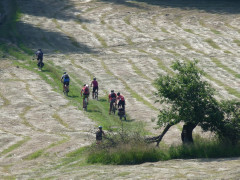 cyklodovolen 2011