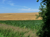 cyklodovolen 2011