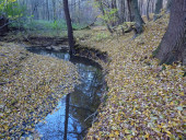 Podzimn Polanice
