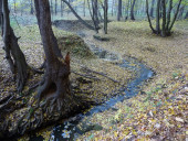 Podzimn Polanice