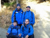 lys 2011