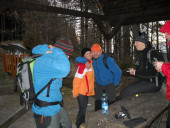 lys 2011