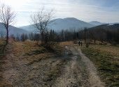 lys 2011