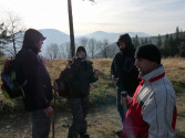 lys 2011