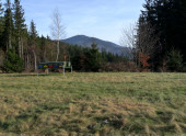 lys 2011