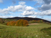 Bieszczady